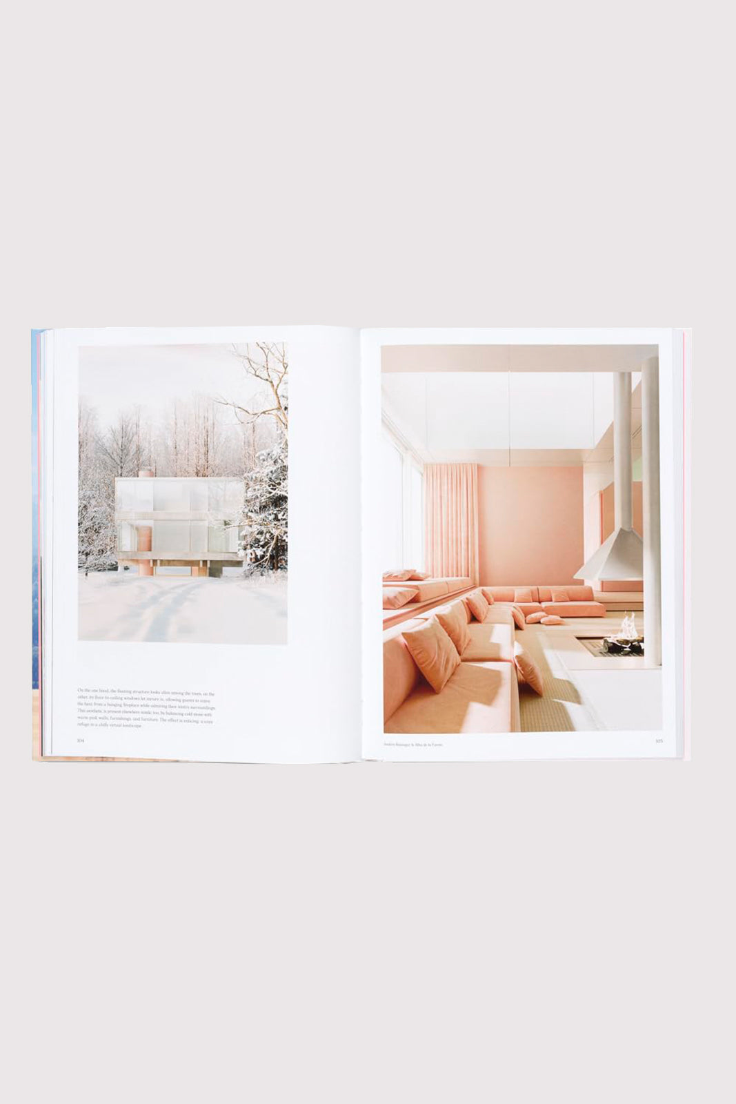 Buch Living In A Dream