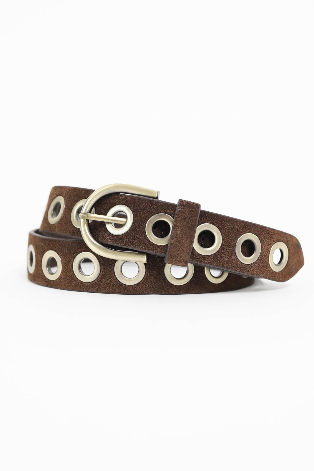 Xirena belt Francoise In Espresso