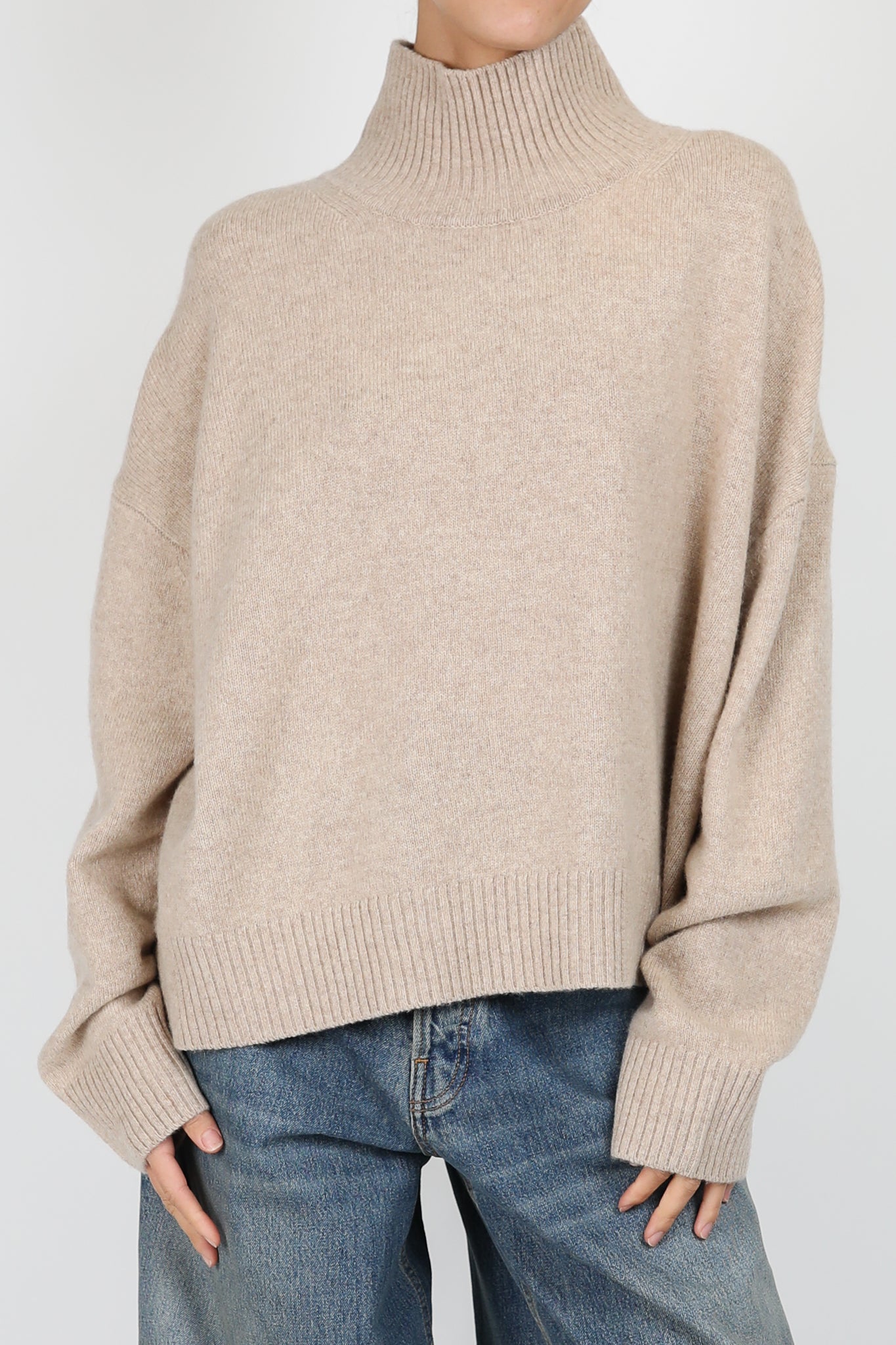 Sweater with turtleneck in Everest